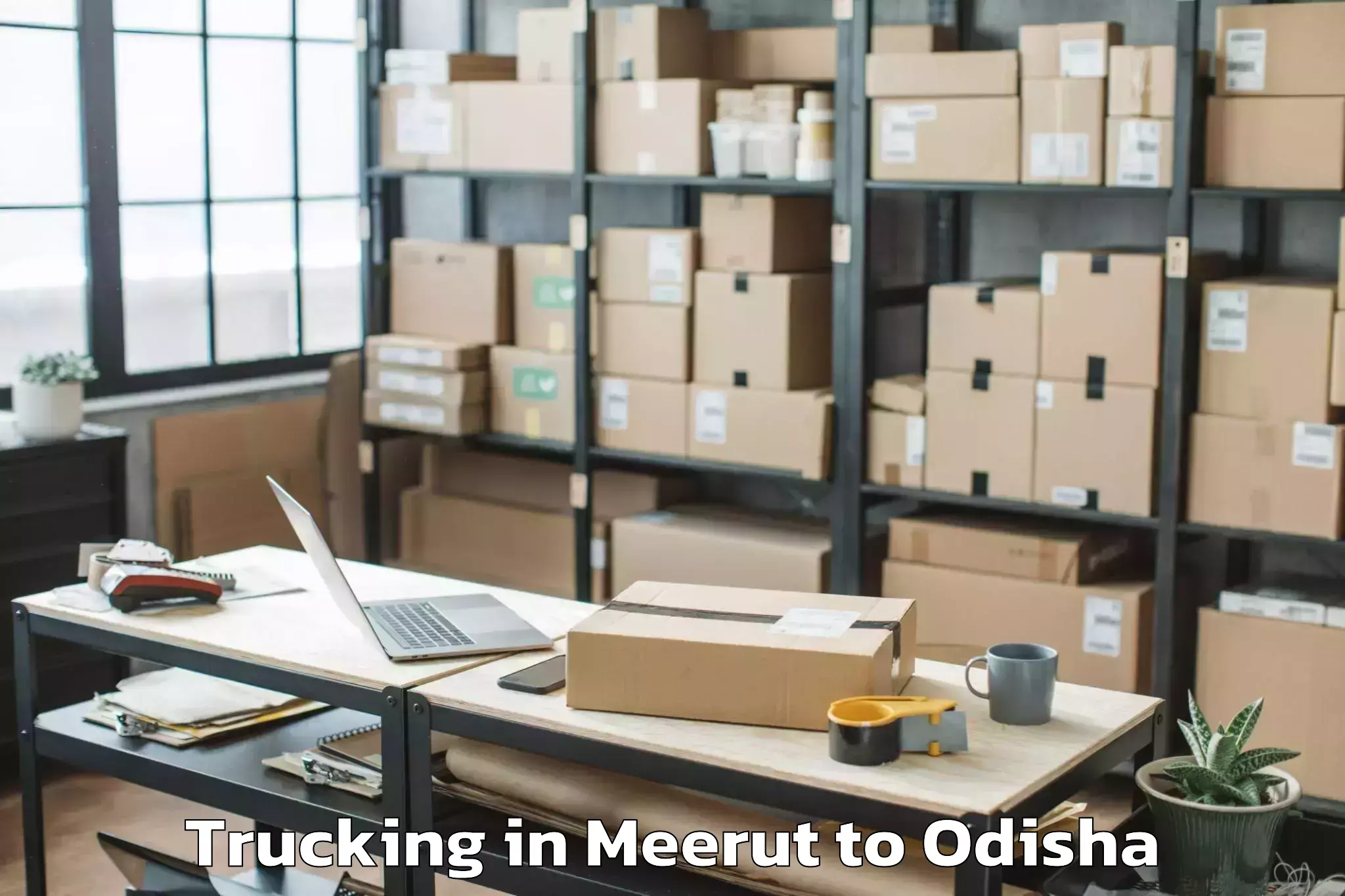 Top Meerut to Marsaghai Trucking Available